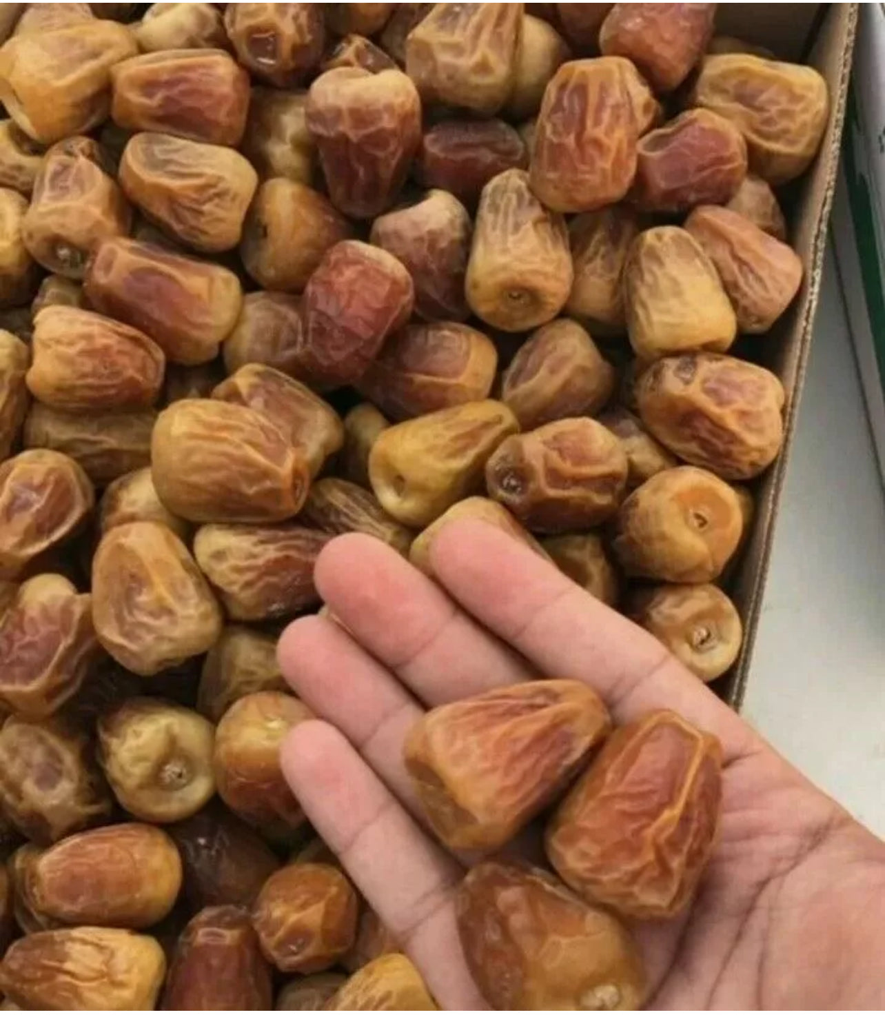 SHIPS FROM KUWAIT 3 KG 6.5   Sukkari  dates  datteln premium  تمر سكري ملكي مفتل